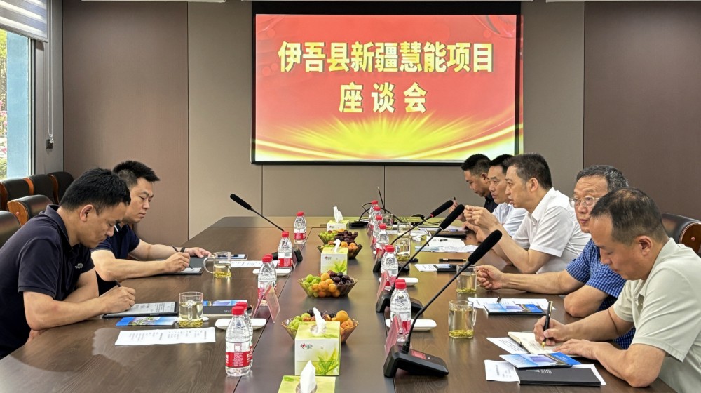 新疆哈密市伊吾縣縣委書(shū)記彭鵬一行到龍成集團調研